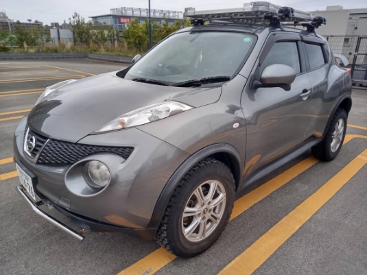 2011 Nissan Juke RX